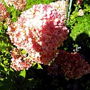 ���� Nadin, �������, 61 ��� - ��������� 1 �������� 2019 � ������ ���� �������