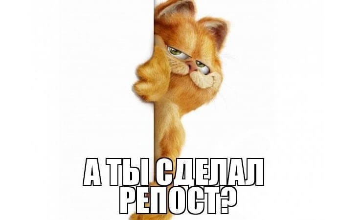   https://fotostrana.ru/away?to=/sl/4lq    ,  ,  ...