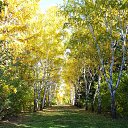 ���� ���, ������, 43 ���� - ��������� 8 ������� 2019