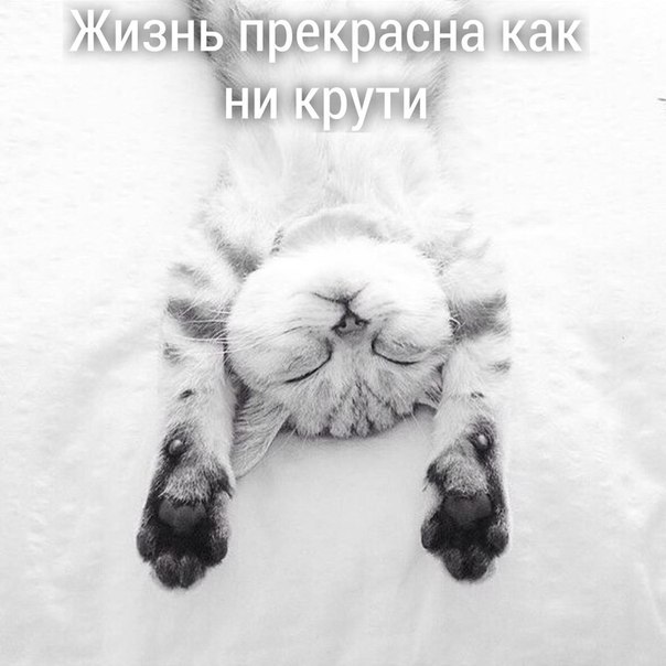    - 7  2019  03:41