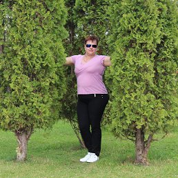 , , 51 