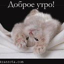 ���� ������, ��������, 56 ��� - ��������� 25 ������ 2019 � ������ ���� ����������