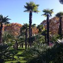 ���� 26.11.2019 �� ������� ���� ����������