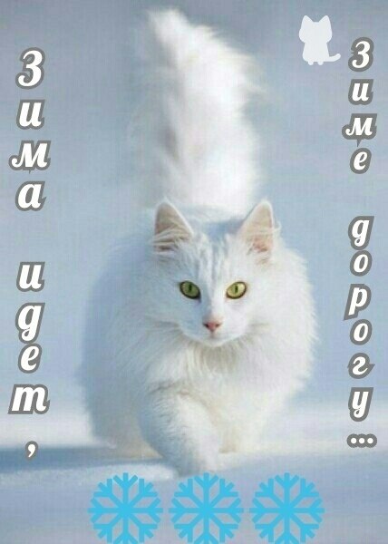   ,    . - 30  2019  22:05