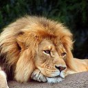 ���� ������, ������������ - ��������� 1 ������ 2019 � ������ ������ ��������