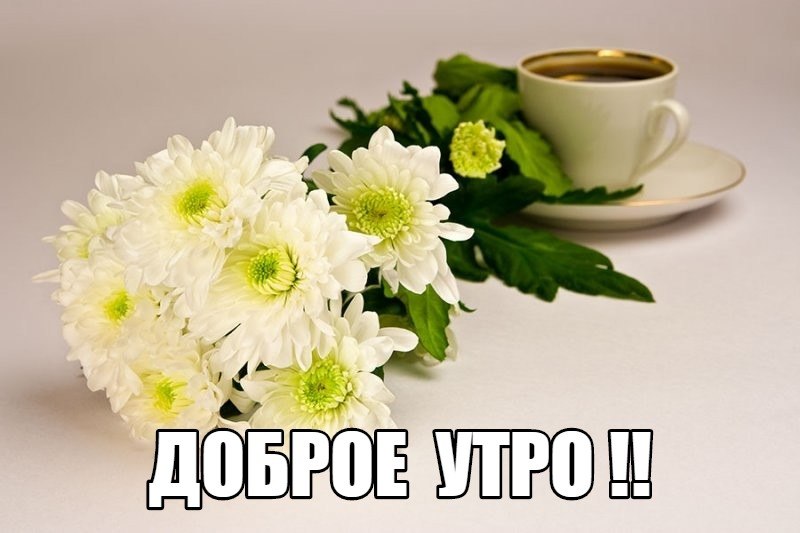   ,    . - 11  2019  21:02
