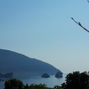  , -, 60  -  29  2019    