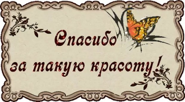   ,    . - 1  2019  16:44