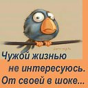 ���� Alekcandr, ������ - ��������� 8 ���� 2019 � ������ ������ ��������