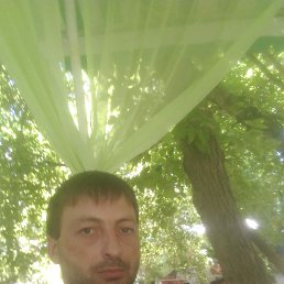 ����, ������, 39 ���