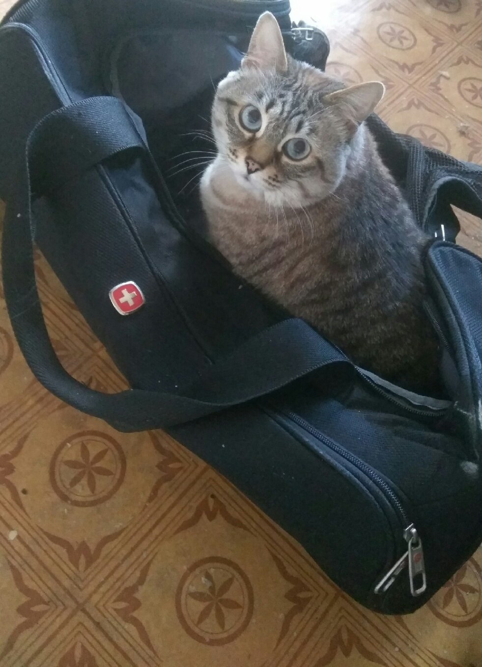 !  ...     :-)