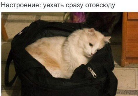    - 18  2019  19:00