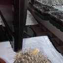 ���� ������ �������������, ������, 53 ���� - ��������� 17 ���� 2019 � ������ �������