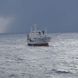 ������ ���������, �����������, 48 ���