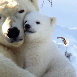 ���� ������, ������-������� - ��������� 1 ���� 2019