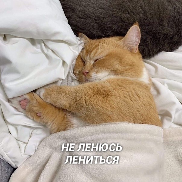    : - 3