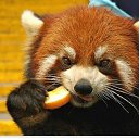 ���� �������, ������, 51 ��� - ��������� 26 ��� 2019 � ������ ���� ����������