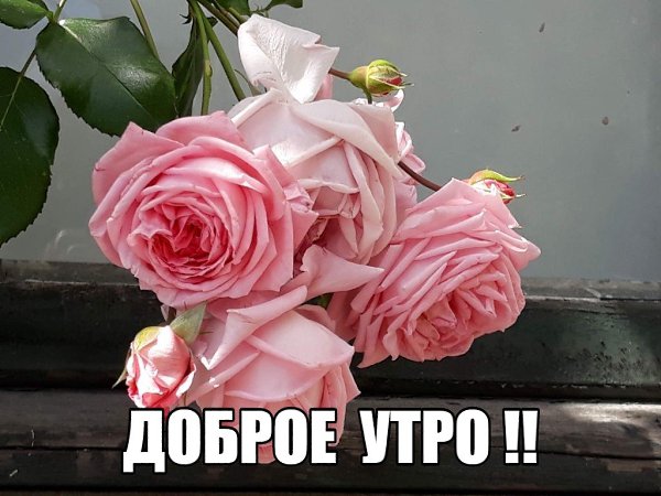   ,    . - 15  2019  22:03