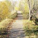 ���� �������, ��������� - ��������� 10 �������� 2019 � ������ ���� ����������