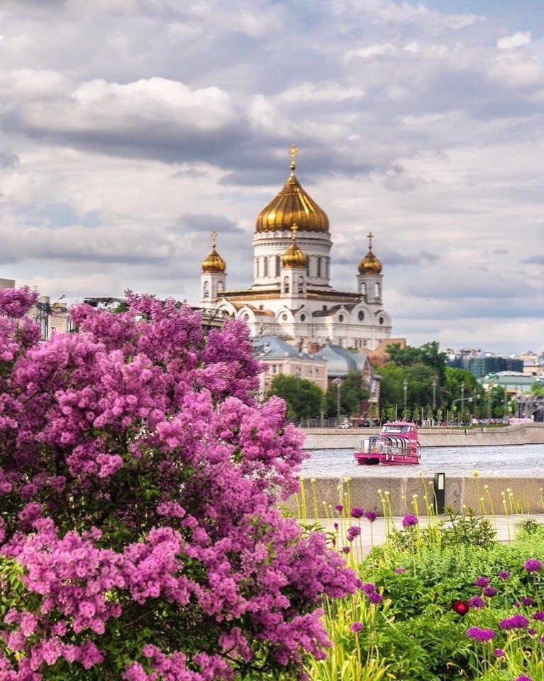 Цветущий Петербург