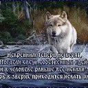 ���� Zl�, �������� - ��������� 4 ������ 2019 � ������ ������ ��������