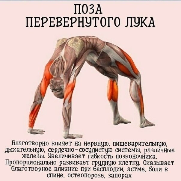 a   o. - 2