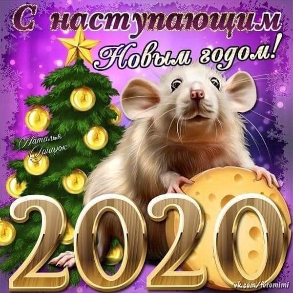 =Fox= - 31  2019  10:43