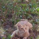 ���� �������, ����, 50 ��� - ��������� 9 ������� 2019 � ������ ���� ����������