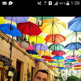 ���� �������, �����-��������� - ��������� 24 �������� 2019