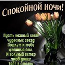 ���� ������, ���������� - ��������� 11 ��� 2019 � ������ ���� ���... ������� � ��������