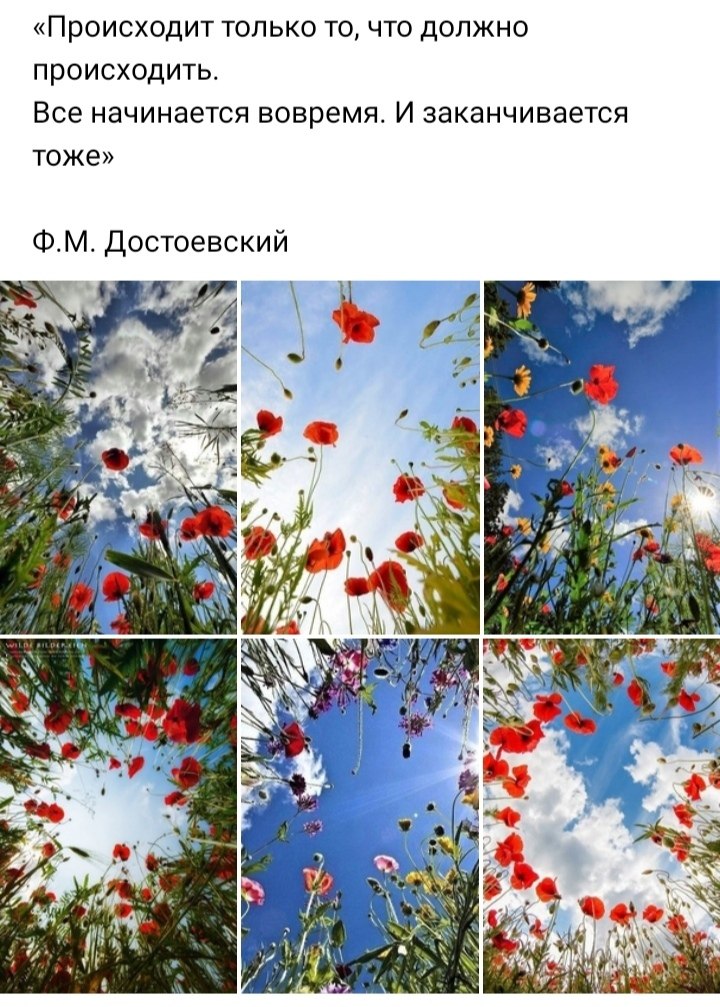   ,    . - 17  2019  21:30