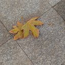 ,,&quot; &quot;,01.12.19.8.55.   , 2019