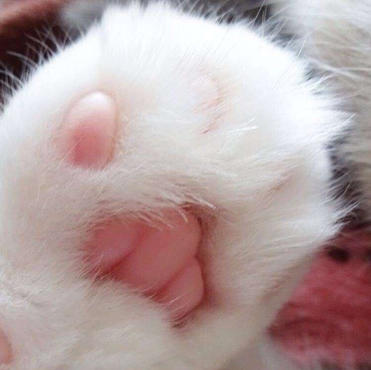     ,    ? - 3