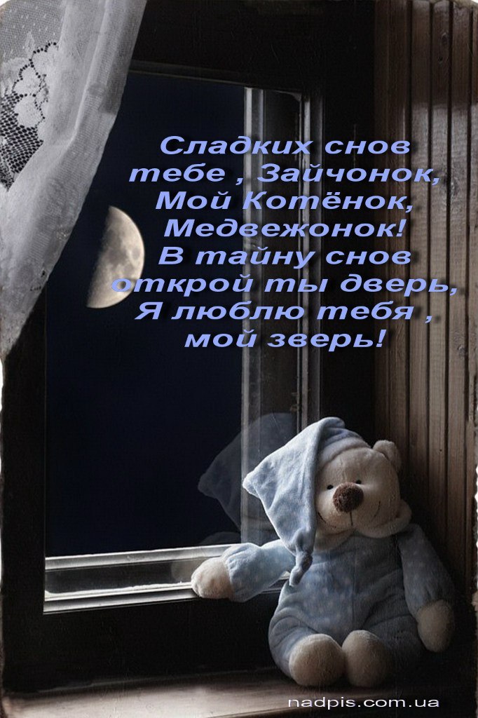   ,    . - 11  2019  21:23 - 3