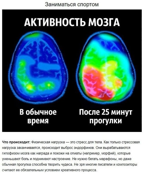 Как чувствовать себя счастливыми? Рекомендации от нейробиолога. #здоровье@thelady - 2