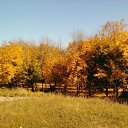 ���� �����, �������, 46 ��� - ��������� 3 ������� 2019 � ������ ���� ����������