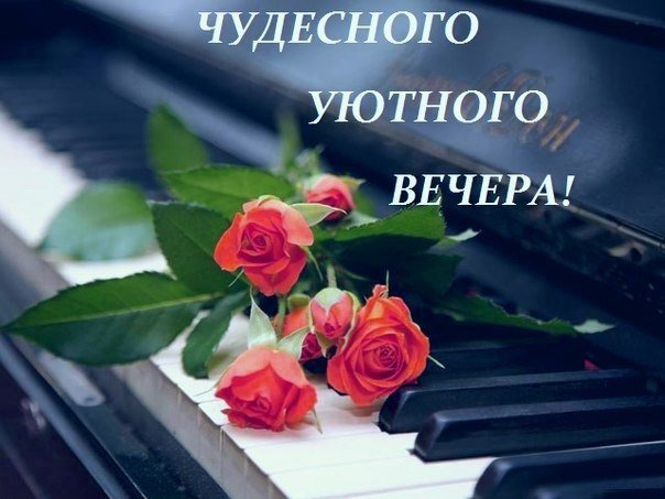  (   ) - 18  2019  15:41