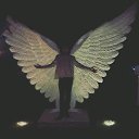 ���� �������, �����-���������, 36 ��� - ��������� 22 �������� 2019 � ������ ���� ����������