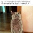 ���� �����, ������ - ��������� 23 ������� 2019 � ������ ������ ��������