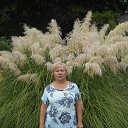 ���������� ������������� ������ �� ������� ����� 2019�