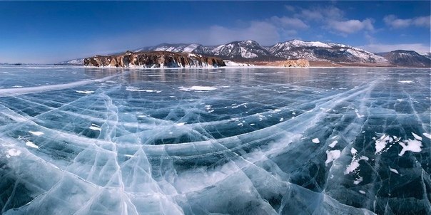 Snow Rose - 25 ��� 2019 � 12:49