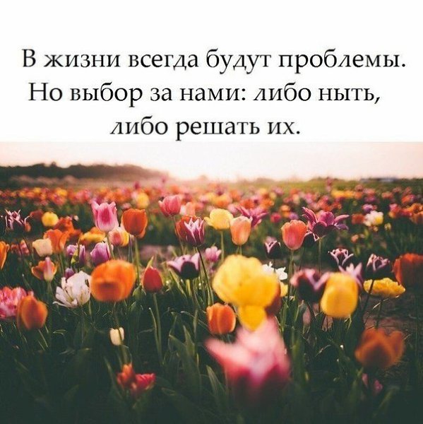☆ ☆ - 14  2019  03:51