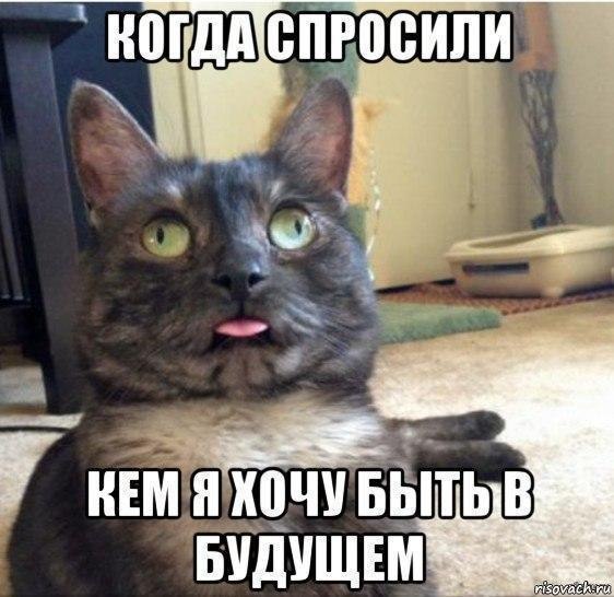 ? ,  ! - 16  2019  18:39