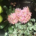 ���� Nata, ������, 67 ��� - ��������� 19 ������� 2019 � ������ ���� ����������