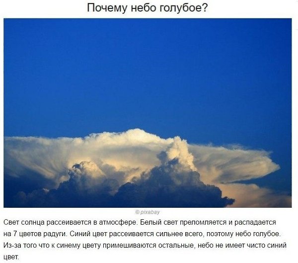 Ответы на частые детские «почемучки». Будет полезно вспомнить и мамам - 4
