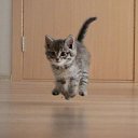���� Grus, �������� - ��������� 2 ������� 2019 � ������ ��������