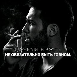 ���� Leon, ������ - ��������� 2 �������� 2019