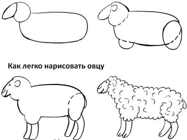 Рисуем животных поэтапно