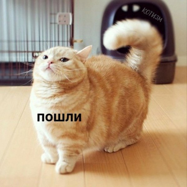 �������� � ���������� - ��� ����� ����� ���� ����� ��������: - 2