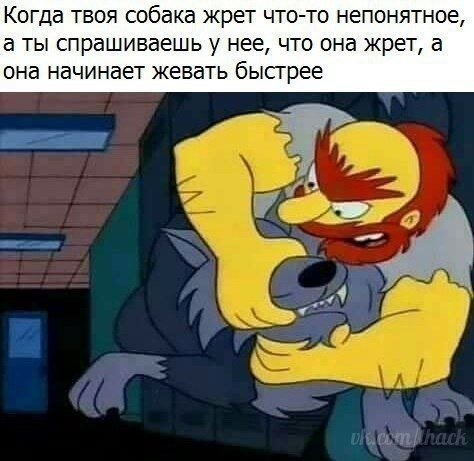  - 2  2019  03:38